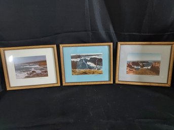 Set Of 3 Nature/ocean Framed Prints