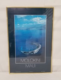 Molokini Maui Framed Print By Ray Mains