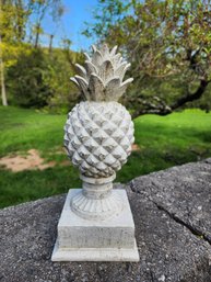 Garden Pineapple