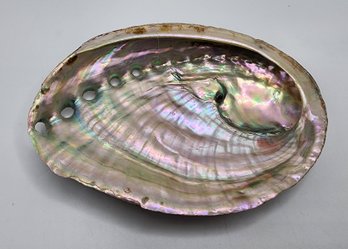 5 Inch Large Abalone Shell That Can Be Used For Incense