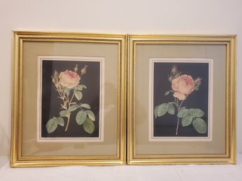 Framed & Matted Vintage Pink Double Moss Rose Botanical Wall Art Prints