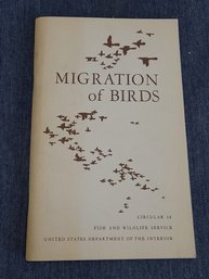 Migration Of Birds Book