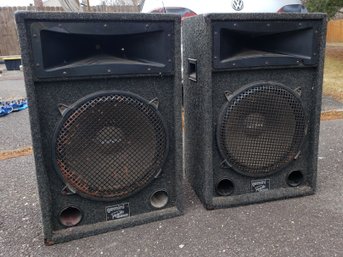 Pair Of X-Large Gemini Rhino PA DJ Speakers