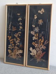 Pair Of Framed Dried Flower Art