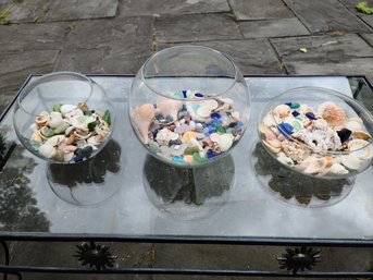 Pretty Glass Bowls Filled With Prized  Seashells And Sea Glass