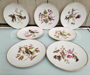 Vintage Set Of Six Hand-Painted Gold Rimmed Bird Plates From Bavaria /Germany Called Debra