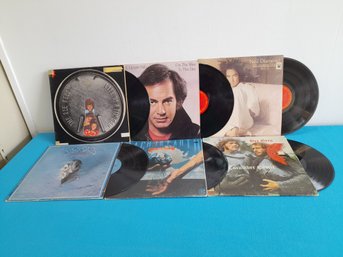 Record Lot #7