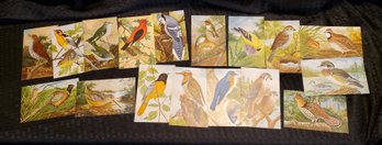 Lot Of 17 Vintage Wild Bird Post Cards