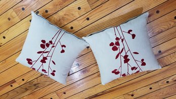 2 Decorative Pillows  Pier1  15x15