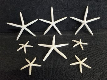 Set Of Beautiful Natural White Pencil/finger Starfish