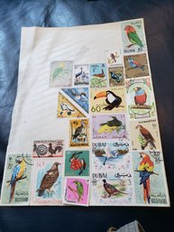 Tropical Bird Stamps