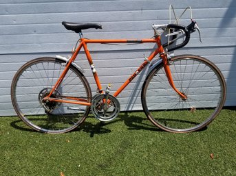 Old School Pantera 10-speed Bike With Campagnolo