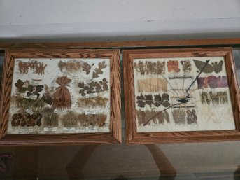 Pair Of Framed Artwork - Pressed Dried Ancient Herbs - 17'x14'each