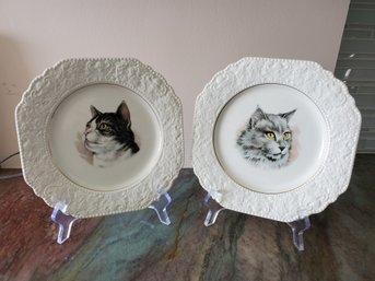 Two Vintage Lord Nelson Pottery Cat & Dog Porcelain Decorative Plates