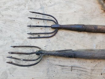 Two Antique Forged Steel Eel Fishing Trident Spear Harpoon