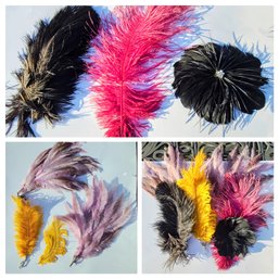 Terrific Assortment Of Colirful Feathers