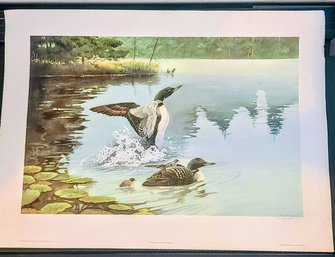 Large Waterfowl Print By Well Known Iranian /Canadian Artist Allan Sakhavarez Dated 1986 - Unframed