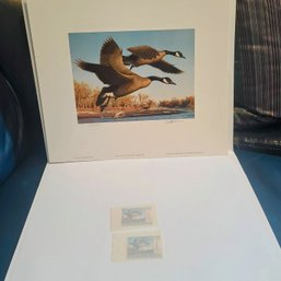 1980 First Edition Colorado Duck Stamp  And Print By Robert Steiner Of Canada Geese