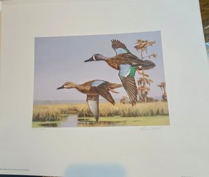 First Edition 1989 Migratory Fowl Louisiana State Stamp And Print By David Noll