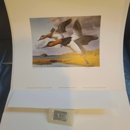 1989 Rhode Island First Edition Duck Stamp And Print By Robert Steiner