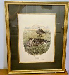 1983 Print On Bluewinged Goose, Signed