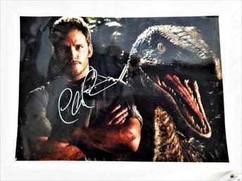 Chris Pratt Jurassic World Signed 8x10 Photograph With COA