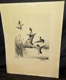 Richard E. Bishop - Lake Erie Mallards - Signed Etching - 1938