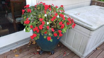 LARGE CERAMIC POTTERY FLOWERPOTS ON WHEELS LOT OF 3