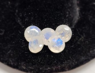 5 Rainbow Moonstones