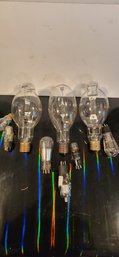 Collection Of Giant Light Bulbs And Radio Tubes