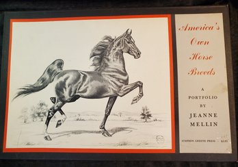 America's Own Horse Breeds A Portfolio By Jeanne Mellin ~ Lot Of 12 Framable Prints