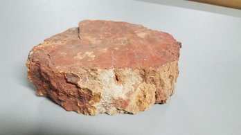 Petrified Wood, Collectors Item - Paper Weight?