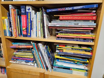 2 Shelves Of Books  Science, Art, Craft, Animal, Space (US Borne, Pocket Guides)