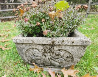 Vintage Cement Outdoor Planter