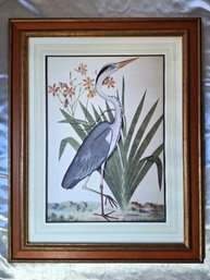 Blue Heron Shorebird Botanical Decor Framed Under Glass Print