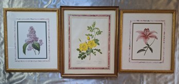 Lillies, Lilacs And Yellow Rose Lot Of 3 Botanical Prints Matted And Framed Under Glass