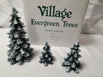 Village Evergreen Tree