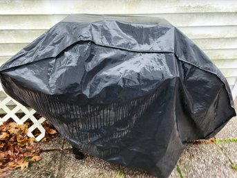 Grill With Cover