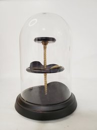 Domed Glass Over Wood Display Case Tiered Stand