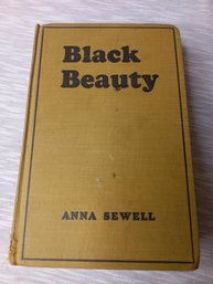 Black Beauty Book 141