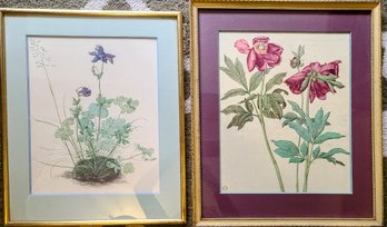 Two Of Vintage Botanical Prints