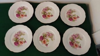 6 BEAUTIFUL FLORAL THEMED PLATES MADE IN GERMANY