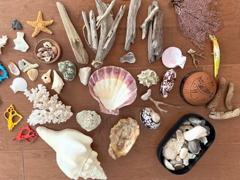 An Exotic Sea Shell Collection Including Coral, Earthenware Artwork And More