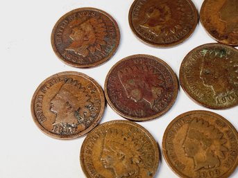 10  Different Indian Head Cents (1880-1909)