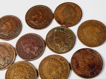 10  Different Indian Head Cents (1880-1909)