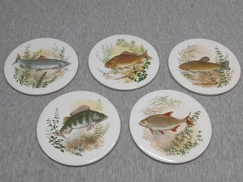 Fish Tiles Lot #3