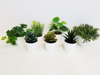 Set Of Miniature Faux Succulent  Plants In White Pots - Ikea