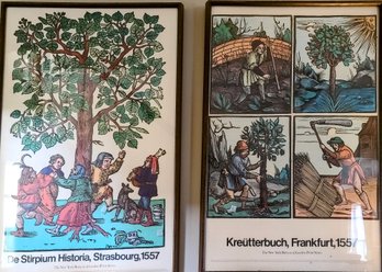 Two Framed NY Botanical Garden Prints Of German Medieval  Life In Strasbourg And Frankfurt