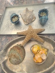 2 Vintage Metal Trays With Shells