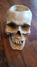 Heavy Weighted Skull Holder